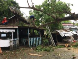 Pohon Tumbang Timpa Bangunan di Jalan Lintas Krueng Raya – Lamteuba