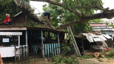 Pohon Tumbang Timpa Bangunan di Jalan Lintas Krueng Raya – Lamteuba