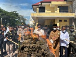 Polda Aceh Musnahkan Barang Bukti Ganja 1,2 Ton dan Sabu 226 Kg