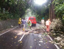 BPBD Sabang Siagakan Seluruh Personel Hadapi Cuaca Ekstrem