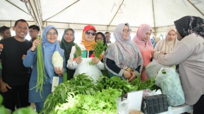 Pj Ketua PKK Aceh Tinjau dan Berbelanja di Pasar Tani