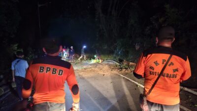Pohon Tumbang di Tinjau Alam, BPBD Sabang Berhasil Bersihkan dalam 30 Menit
