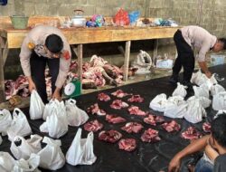 Dua Ekor Sapi dari Kapolda Aceh untuk Berbagi Hari Meugang Ramadhan 1446 H