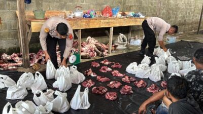 Dua Ekor Sapi dari Kapolda Aceh untuk Berbagi Hari Meugang Ramadhan 1446 H