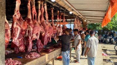 Jelang Idul Adha 1446 H, Harga Daging di Pasar Induk Lambaro Masih Stabil