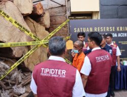 Satreskrim Polresta Banda Aceh Amankan Supir Truk dan Tujuh Kubik Kayu Ilegal