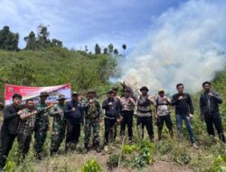 Polres Aceh Besar Musnahkan Ladang Ganja Di Pegunungan Ie Su’um, Seorang Pemilik Ditangkap