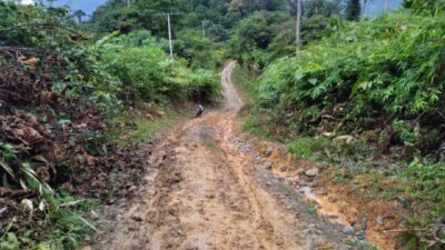 Lesten Desa Terpencil di Gayo Lues, Memprihatinkan Butuh Perhatian Pemerintah