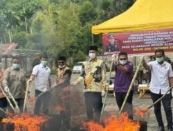Kejari Aceh Selatan Musnahkan Barang Bukti