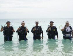 Pangdam IM Lepas Tukik Jenis Penyu Hijau di Teluk Nibung dan Pulau Panjang