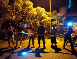 Ular Piton Masuk Meunasah di Lhoong