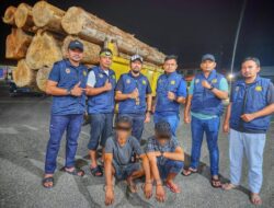 Polisi Amankan Dua Pemuda dan Satu unit Dump Truk Angkut Kayu Ilegal