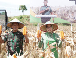 Sukses Panen Perdana Program I’M Jagong yang Diprakarsai Pangdam IM