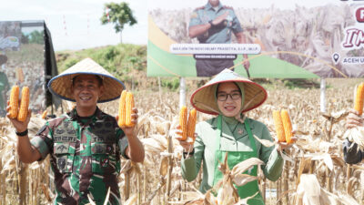 Sukses Panen Perdana Program I’M Jagong yang Diprakarsai Pangdam IM