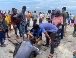 Kedatangan 200 Imigran Rohingya di Perairan Bireuen Ditolak Warga