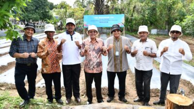 Pj Wali Kota Tinjau Kebun Warga Program BI di Lamjabat
