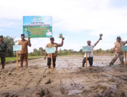 Penanaman Padi Perdana Program Ketahanan Pangan di Gampong Padang Mancang