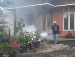 Awal Tahun 2024, Dinkes Sabang Temukan Tiga Kasus Positif DBD