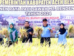 Pj Bupati Aceh Besar Bersama Danlanud SIM Panen Raya Padi di Blang Bintang