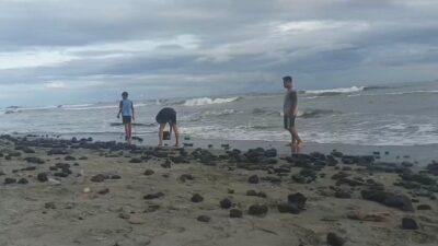 Menteri LHK : Tidak Boleh Ada Pencemaran Batu Bara di Aceh Barat