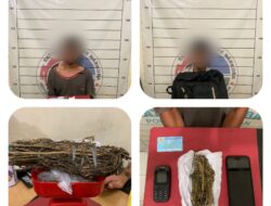 Miliki Narkoba, Dua Petani warga Kluet Utara Diamankan Polres Aceh Selatan