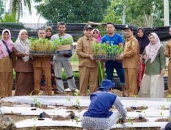 Poktan Hareukat Tani Aceh Besar Luncurkan Gerakan Tanam 6.000 Cabai
