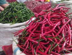 Jelang Ramadhan, Harga Cabai di Banda Aceh Naik