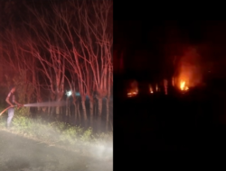 500 Meter Lahan Jati di Peukan Bada Ludes Dilalap Api