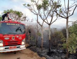Jelang Buka Puasa, Setengah Hektar Lahan di Cadek Terbakar
