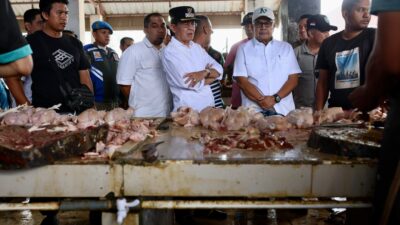 Pj Gubernur Aceh Pantau Stok dan Harga Pangan di Pasar Al Mahirah dan Lambaro