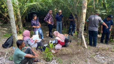 Tingkatkan Ekonomi Masyarakat, Salak Sabang Dikembangkan dengan Pembibitan