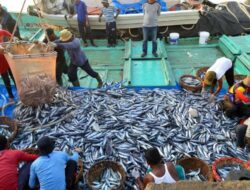 Selama 2023, Hasil Tangkapan Ikan Nelayan Sabang Capai 9.1 Ribu Ton