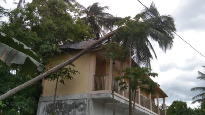 Pohon Tumbang di Darussalam Hantam Gedung Posyandu