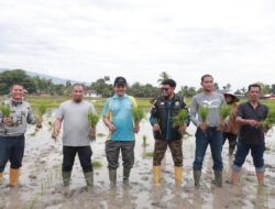 Tekan Inflasi di Aceh Besar: Pj Bupati Bersama Danlanud SIM Tanam Padi Bersama