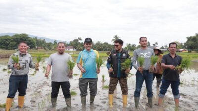 Tekan Inflasi di Aceh Besar: Pj Bupati Bersama Danlanud SIM Tanam Padi Bersama