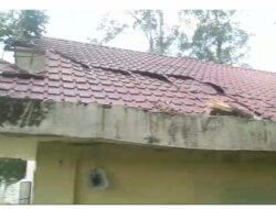 Angin Kencang Landa Kota Jantho, Pohon Tumbang Rusak Kantor PWI Aceh Besar