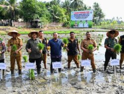 Pj Bupati Aceh Besar Tanam Perdana Padi MT Gadu 2024 di Lamkawe