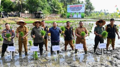Pj Bupati Aceh Besar Tanam Perdana Padi MT Gadu 2024 di Lamkawe