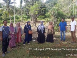Tekan Angka Stunting, Distanpangan Kota Sabang Galakkan Program Pekarangan Pangan Lestari
