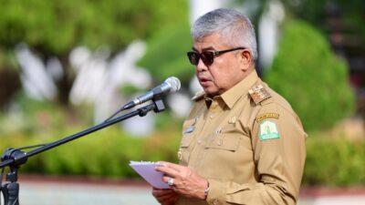 Pemeriksaan Kesehatan Hewan Qurban, Pj Gubernur Aceh Apresiasi Kolaborasi PDHI Aceh dan FKH USK