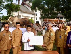 Pj Gubernur Bustami Serahkan Sapi Qurban Presiden untuk Masyarakat Pidie Jaya