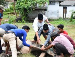 Teladani Sikap dan Perilaku Nabi Ibrahim AS, Lanal Sabang Selenggarakan Qurban