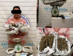 Warga Abdya Diduga Bandar Narkoba Diciduk Polres Aceh Selatan