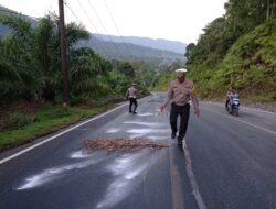 Polisi akan Tindak Truk Tangki Penyebab Tumpahan CPO di Jalan Nasional