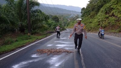 Polisi akan Tindak Truk Tangki Penyebab Tumpahan CPO di Jalan Nasional