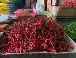Disperindagkop UKM Kota Sabang Lakukan Pemantauan Harga dan Stok Bapok