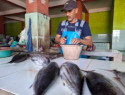 Pasar Tradisional di Kota Sabang Minim Pasokan Ikan