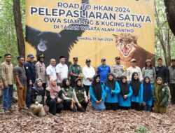 Asisten II Setdakab Aceh Besar Hadiri Penglepasan Dua Satwa Liar Dilindungi oleh BKSDA