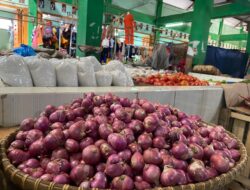 Harga Bawang Merah dan Cabai Merah di Sabang Anjlok