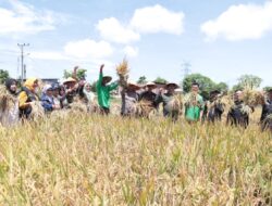 Asisten II Sekda Aceh Besar Hadiri Temu Ramah dan Panen Perdana Padi Hasil Pupuk Organik Nasional 
